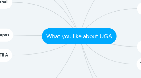 Mind Map: What you like about UGA