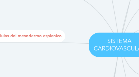 Mind Map: SISTEMA CARDIOVASCULAR