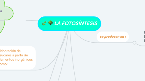 Mind Map: LA FOTOSÍNTESIS