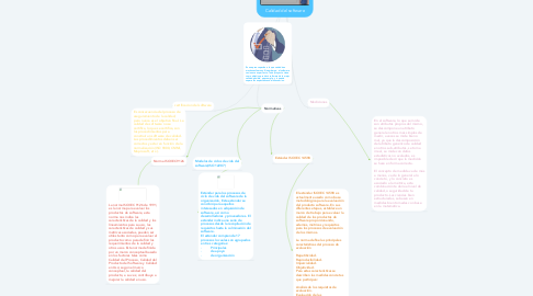 Mind Map: Calidad del software