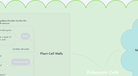 Mind Map: Eukaryotic Cells