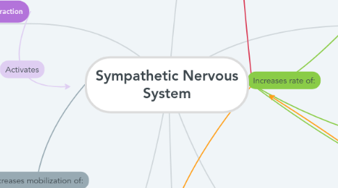 Mind Map: Sympathetic Nervous System