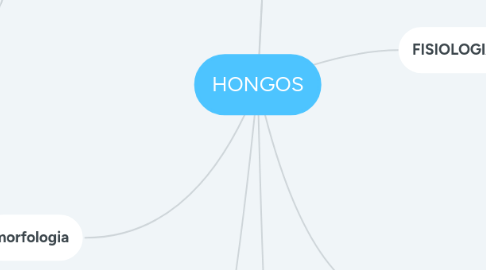 Mind Map: HONGOS