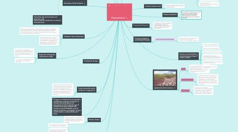 Mind Map: Medioambiente