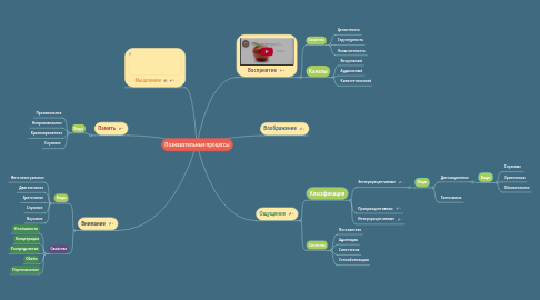 Mind Map: Познавательные процессы