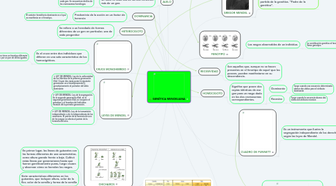 Mind Map: GENÉTICA MENDELIANA