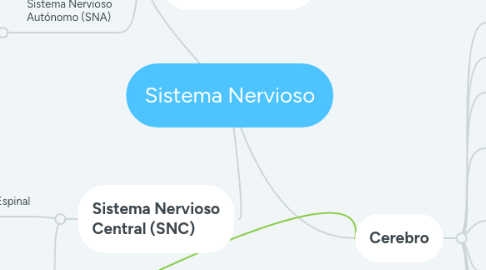 Mind Map: Sistema Nervioso