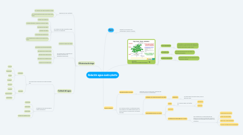 Mind Map: Relación agua-suelo-planta