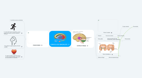 Mind Map: GANGLIOS BASALES