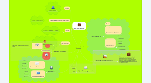 Mind Map: La organización en la empresa