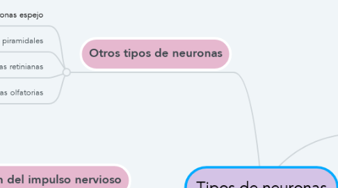 Mind Map: Tipos de neuronas
