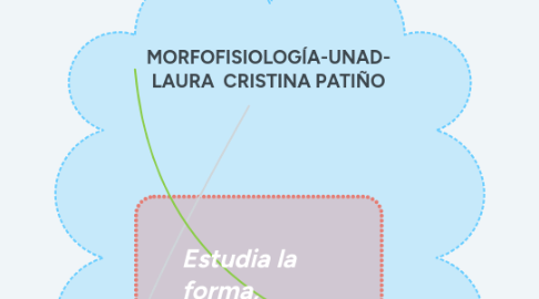 Mind Map: EVOLUCIÓN DE LOS SERES VIVOS-UNAD- LAURA CRISTINA PATIÑO