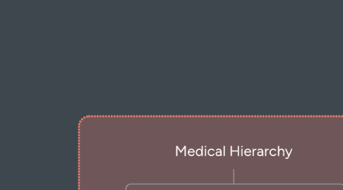 Mind Map: Medical Hierarchy