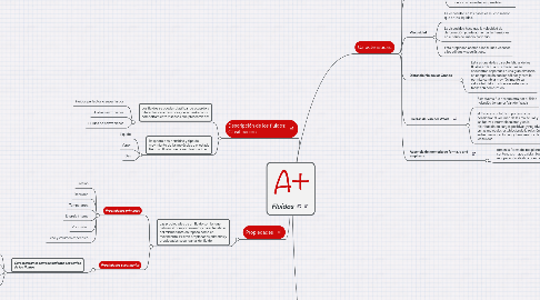 Mind Map: Fluidos