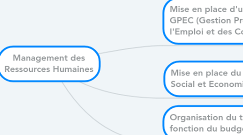 Mind Map: Management des Ressources Humaines