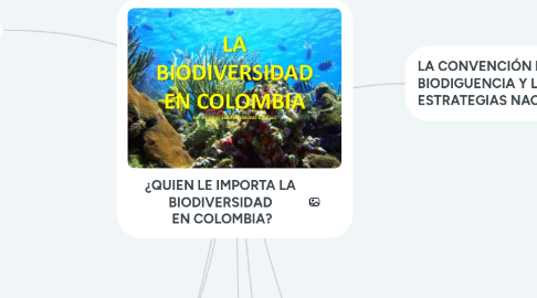 Mind Map: ¿QUIEN LE IMPORTA LA BIODIVERSIDAD EN COLOMBIA?