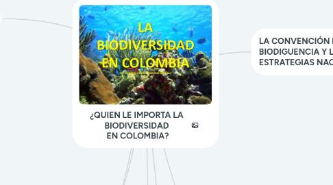 Mind Map: ¿QUIEN LE IMPORTA LA  BIODIVERSIDAD  EN COLOMBIA?