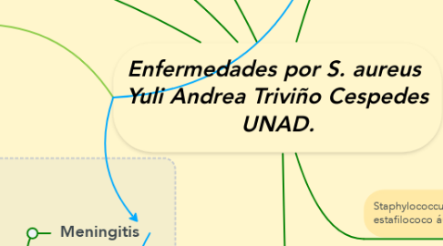 Mind Map: Enfermedades por S. aureus  Yuli Andrea Triviño Cespedes UNAD.