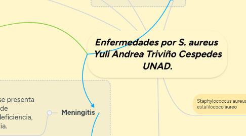 Mind Map: Enfermedades por S. aureus Yuli Andrea Triviño Cespedes UNAD.