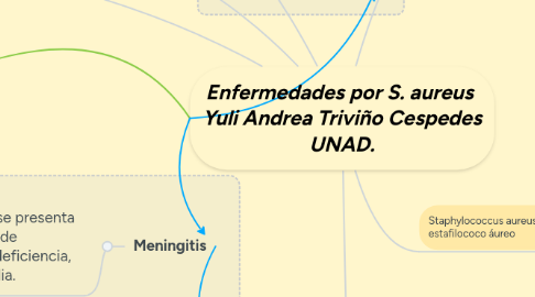 Mind Map: Enfermedades por S. aureus  Yuli Andrea Triviño Cespedes UNAD.