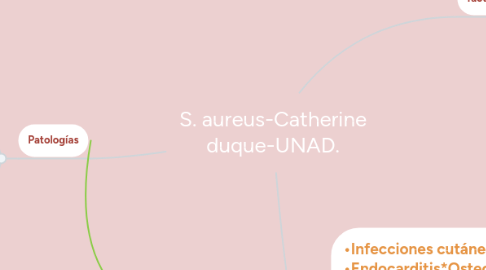 Mind Map: S. aureus-Catherine duque-UNAD.