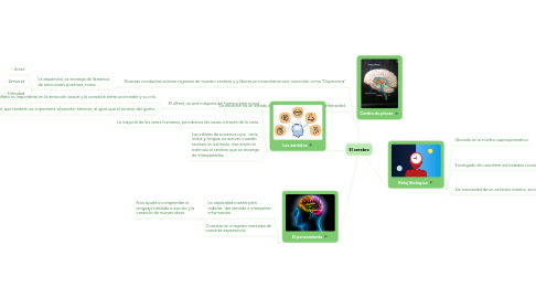 Mind Map: El cerebro