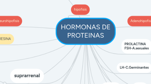 Mind Map: HORMONAS DE PROTEINAS