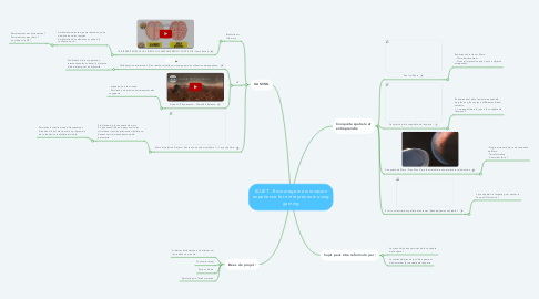 Mind Map: SUJET : Encourage mars invasion experience for entrepreneurs using gaming