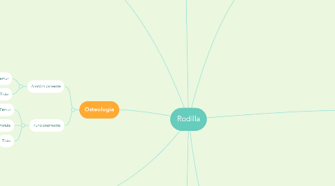 Mind Map: Rodilla