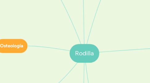 Mind Map: Rodilla