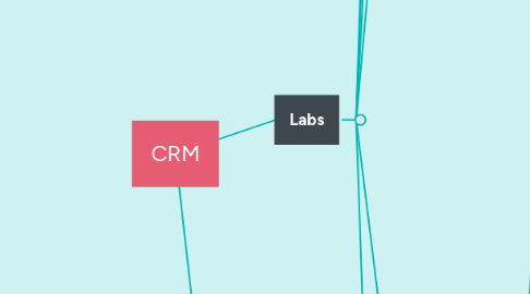 Mind Map: CRM