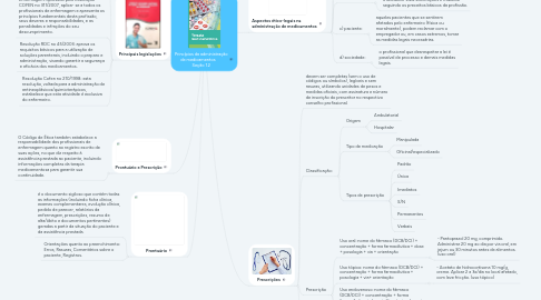 Mind Map: Princípios da administração de medicamentos Seção 1.2