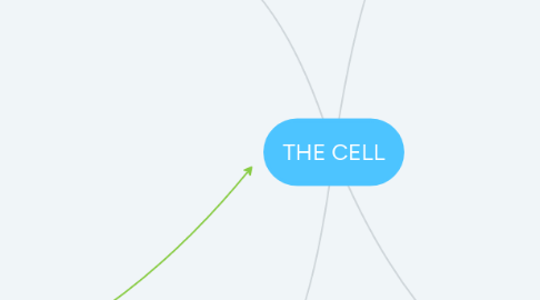 Mind Map: THE CELL