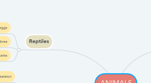 Mind Map: ANIMALS