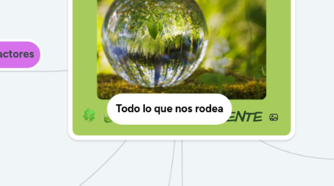 Mind Map: MEDIO AMBIENTE