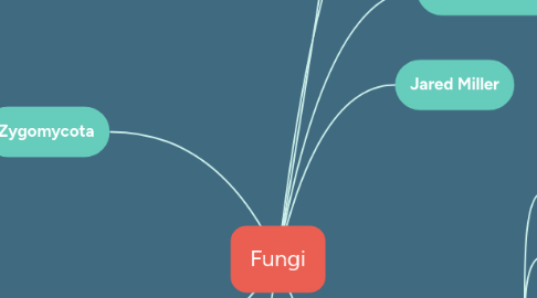 Mind Map: Fungi