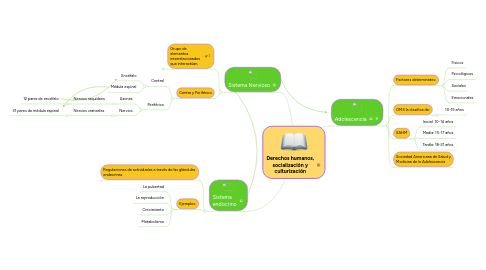 Mind Map: La adolescencia, el SN y el SE