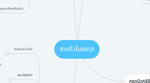 Mind Map: สารชีวโมเลกุล