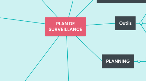 Mind Map: PLAN DE SURVEILLANCE