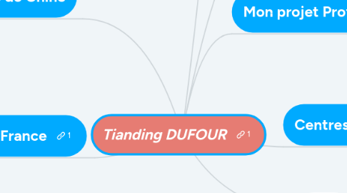 Mind Map: Tianding DUFOUR