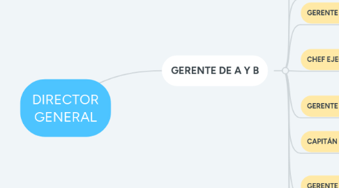 Mind Map: DIRECTOR GENERAL