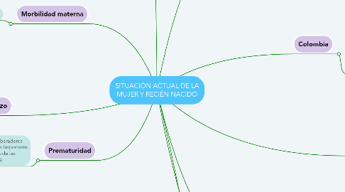 Mind Map: SITUACIÓN ACTUAL DE LA MUJER Y RECIÉN NACIDO