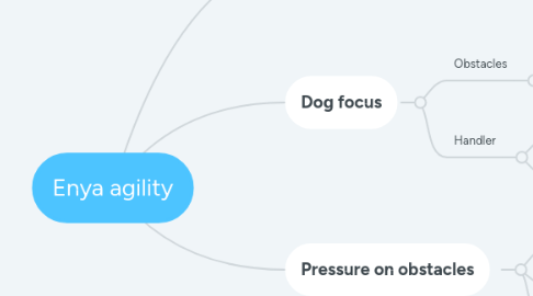 Mind Map: Enya agility