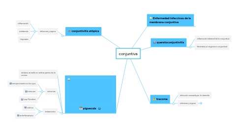 Mind Map: conjuntiva