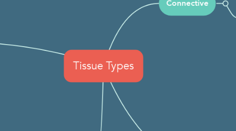 Mind Map: Tissue Types