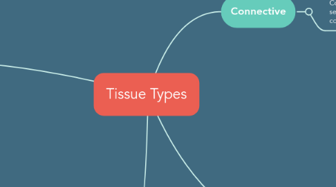 Mind Map: Tissue Types