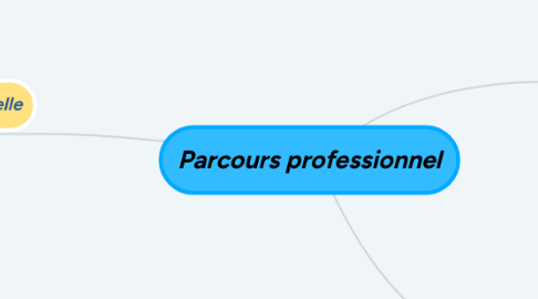 Mind Map: Parcours professionnel