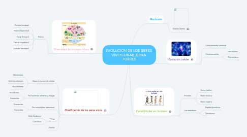 Mind Map: EVOLUCION DE LOS SERES VIVOS-UNAD-DORA TORRES