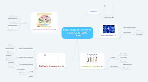 Mind Map: EVOLUCION DE LOS SERES  VIVOS-UNAD-DORA  TORRES