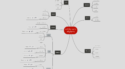 Mind Map: edible parts of plants